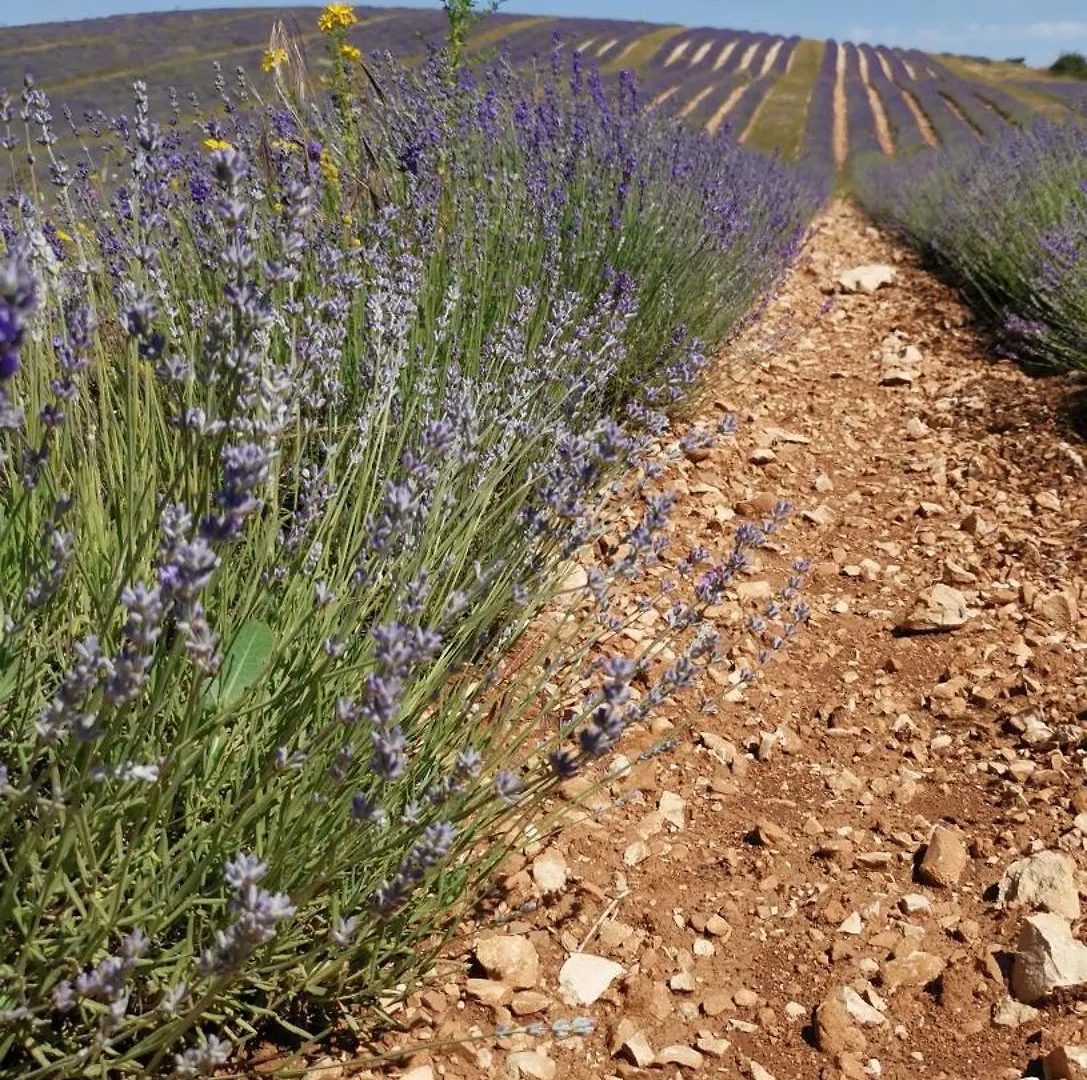 La Farigoulette - Vieux Village Saint-Saturnin-les-Apt France